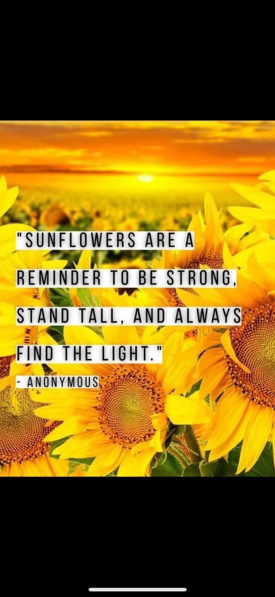 ☮️George Wilson 💛 tweet media