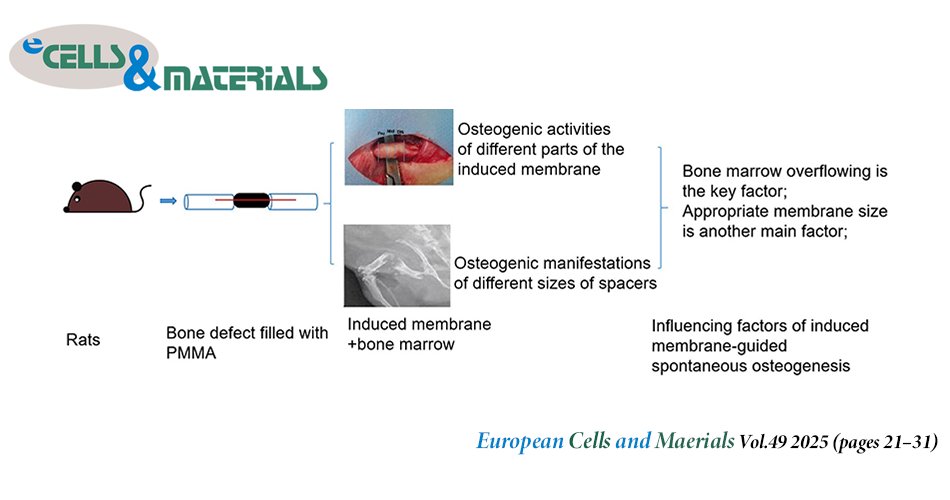 👏Check eCM latest articles: Experimental study on the main influencing factors of induced membrane-guided spontaneous osteogenesis

J Liu, QD Yin, FY Bu, XM Chen

ecmjournal.org/papers/vol049/…

#Bone #regeneration #TissueEngineering #Biomaterials
