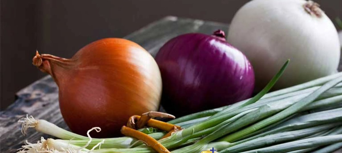 Below are some unique health benefits of onions:

-A Rich Source of Flavonoid Compounds

These are polyphenolic compounds that help reduce the risk of cancer, cardiovascular diseases, and inflammatory conditions.

Flavonoids are well-known compounds with strong antioxidant