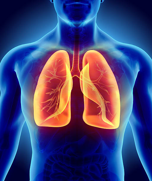 At Fios, we have experience in handling and analysing datasets for research in different #respiratory conditions. Whether you’re looking to identify #biomarkers or analyse specific DNA sequences,  discover how we can help: fiosgenomics.com/services/respi…  #clinicalresearch