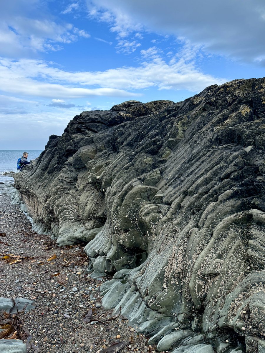 Had an awesome Saturday looking at some gloriously messy 450 million year old Ordovician sediments around Girvan in preparation for an upcoming Geological Society of Glasgow field trip (Dr Jurassic Clark for scale!)