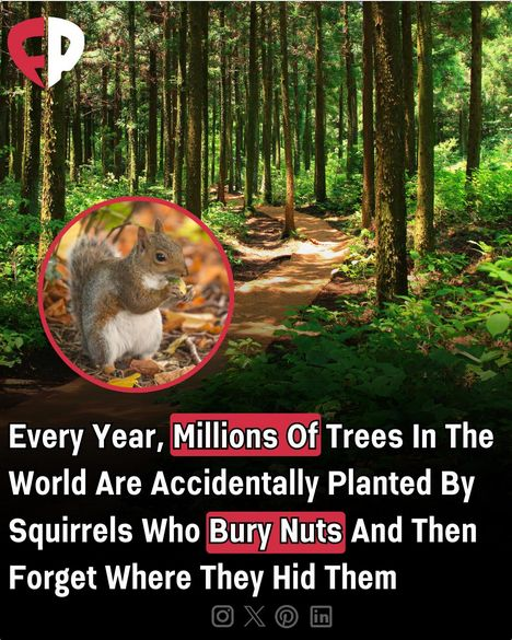 Ariaa ® tweet media