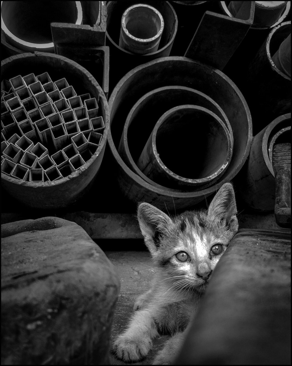 ABhatlekar's tweet image. 15 minutes of Mumbai.!
How many interesting situations one can spot in 15 minutes..??
Only one condition.
Don't stop walking..!!
I got 10.
Take a look, have an imaginative walk with me and let me know if you like this exercise..!!!
#streetphotography