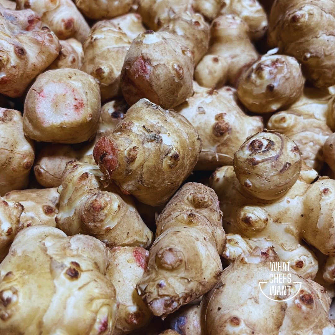 Also known as Jerusalem artichokes, sunchokes (#20537) have a nutty, slightly sweet flavor with a creamy texture when cooked. Packed with inulin, they’re a great prebiotic and a perfect way to add depth to winter menus!

#specialtyproduce #produce #cheflife