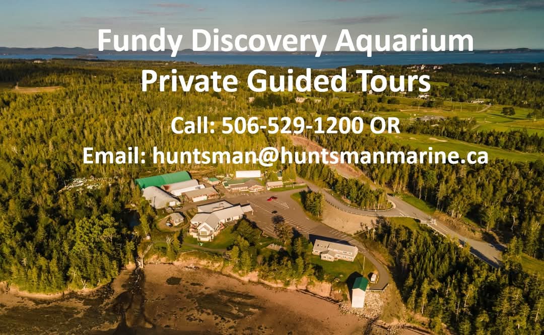 Huntsman Marine (@huntsmanmarine) on Twitter photo Are you visiting St. Andrews by-the-Sea over the next two weeks for NS or PE March Break? Give us a CALL 506-529-1200 or EMAIL huntsman@huntsmanmarine.ca to check our availability for a Private Guided Aquarium Tour of the FUN-dy Discovery Aquarium while you Explore St. Andrews! Are you visiting St. Andrews by-the-Sea over the next two weeks for NS or PE March Break? Give us a CALL 506-529-1200 or EMAIL huntsman@huntsmanmarine.ca to check our availability for a Private Guided Aquarium Tour of the FUN-dy Discovery Aquarium while you Explore St. Andrews!
