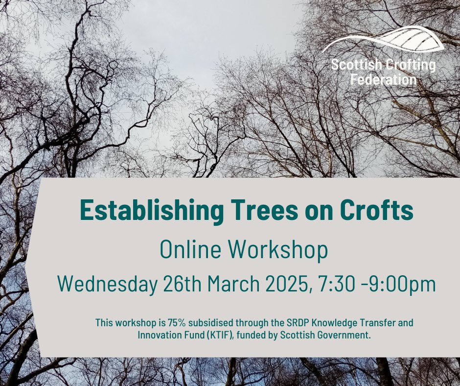Scottish Crofting Federation (@scotcroftingfed) on Twitter photo Establishing Trees on Crofts - Webinar
Crofter and tree grower Phil Knott will run through his top tips on sourcing, planting and maintaining trees of all types and sizes.
Followed by a Q & A session.
Booking is essential!
buytickets.at/scottishcroftiā¦
<a href="/WildlifeCroft/">Wildlife Croft Skye</a> Establishing Trees on Crofts - Webinar
Crofter and tree grower Phil Knott will run through his top tips on sourcing, planting and maintaining trees of all types and sizes.
Followed by a Q & A session.
Booking is essential!
buytickets.at/scottishcroftiā¦
<a href="/WildlifeCroft/">Wildlife Croft Skye</a>