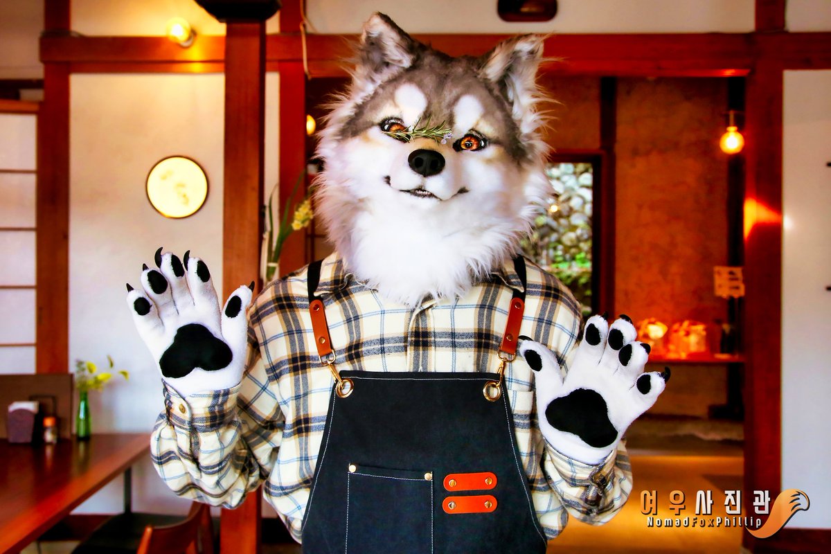 Hello there!

🐺:  <a href="/kamodaniookami/">ロキ</a> 
#Fursuit #やまいぬカフェ
