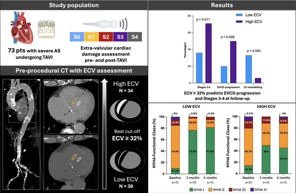 Pasquale Paolisso (@p_paolisso) on Twitter photo 🎯Our prospective study on the association of CT-derived ECV w/ cardiac damage (EVCD) pre and post-TAVI and its impact on functional improvements at 3mFU in #AS pts undergoing #TAVI is now out on <a href="/canadianjournal/">Canadian Journal</a> <a href="/CJCJournals/">CJC Journals</a>
Main findings were:
💥ECV≥32% accurately predicted 🎯Our prospective study on the association of CT-derived ECV w/ cardiac damage (EVCD) pre and post-TAVI and its impact on functional improvements at 3mFU in #AS pts undergoing #TAVI is now out on <a href="/canadianjournal/">Canadian Journal</a> <a href="/CJCJournals/">CJC Journals</a>
Main findings were:
💥ECV≥32% accurately predicted