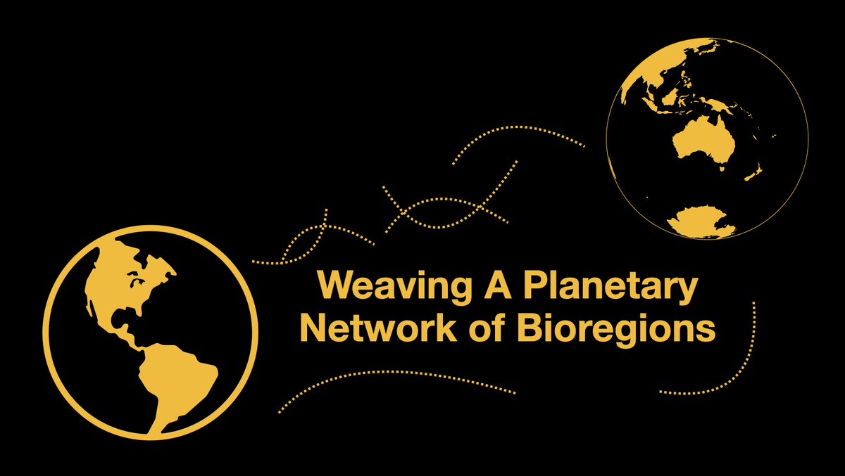 Living into the design pathway for Regenerating Earth is a great weaving process -- among people, landscapes, stories, and networks.

Our part is to help a planetary network of bioregions to emerge through learning exchanges and supports for local organizing. We take this very