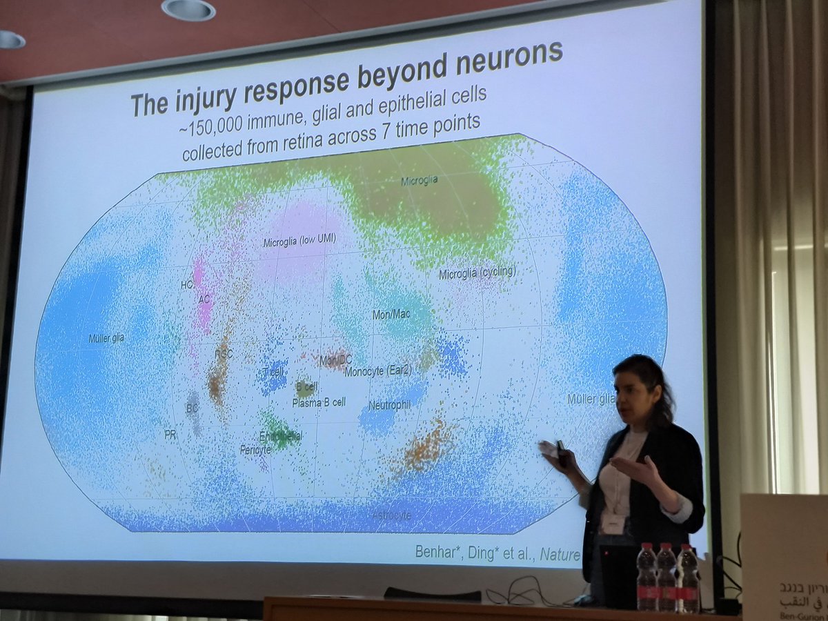 tal_shay's tweet image. Inbal Benhar presenting the world of immune cells at #RNA_IL2025