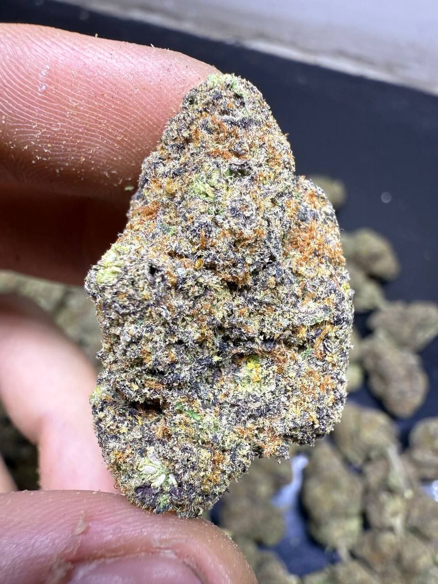 CanTouring's tweet photo. I am a cannabis seller in Ho Chi Minh City, Vietnam. If you come to beautiful Vietnam to travel or settle down and need to buy marijuana, please contact me. Below is my telegram......
https://t.co/0fbq8nAaA7 https://t.co/eJOCq90Bvc