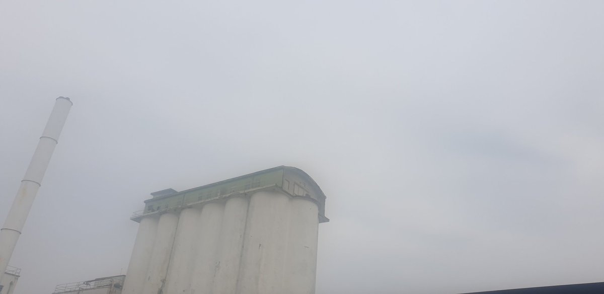 cyclebirdman's tweet image. Netting has been installed on the Shredded Wheat silos in Welwyn Garden City to presumably stop Peregrines nesting ! @HMWTBadger @Hertsbirds. @RSPBEngland @WelHatCouncil is Barry Travis aware ?