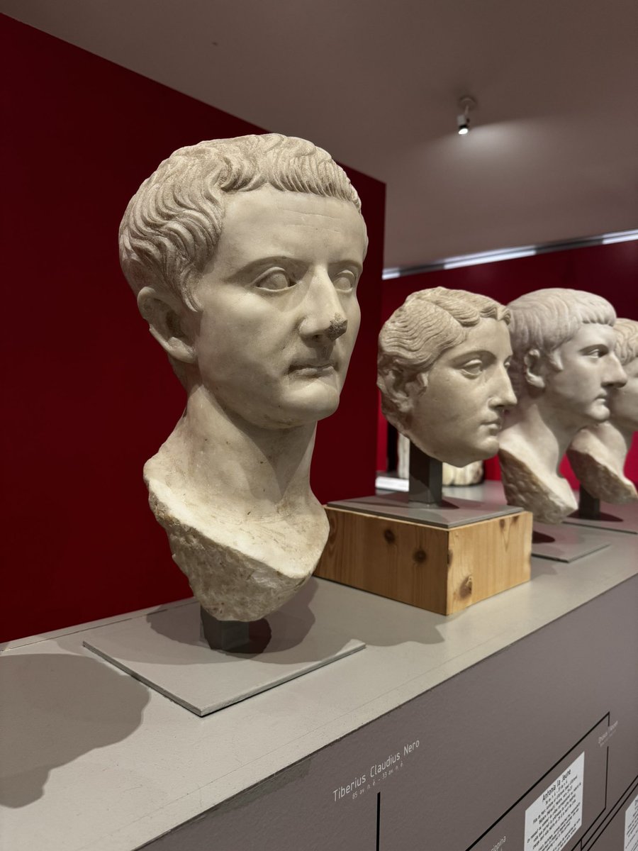 Bravo au <a href="/MSR_Tlse/">Musée Saint-Raymond</a> pour sa muséographie et la mise en valeur didactique de ses collections. Exceptionnel