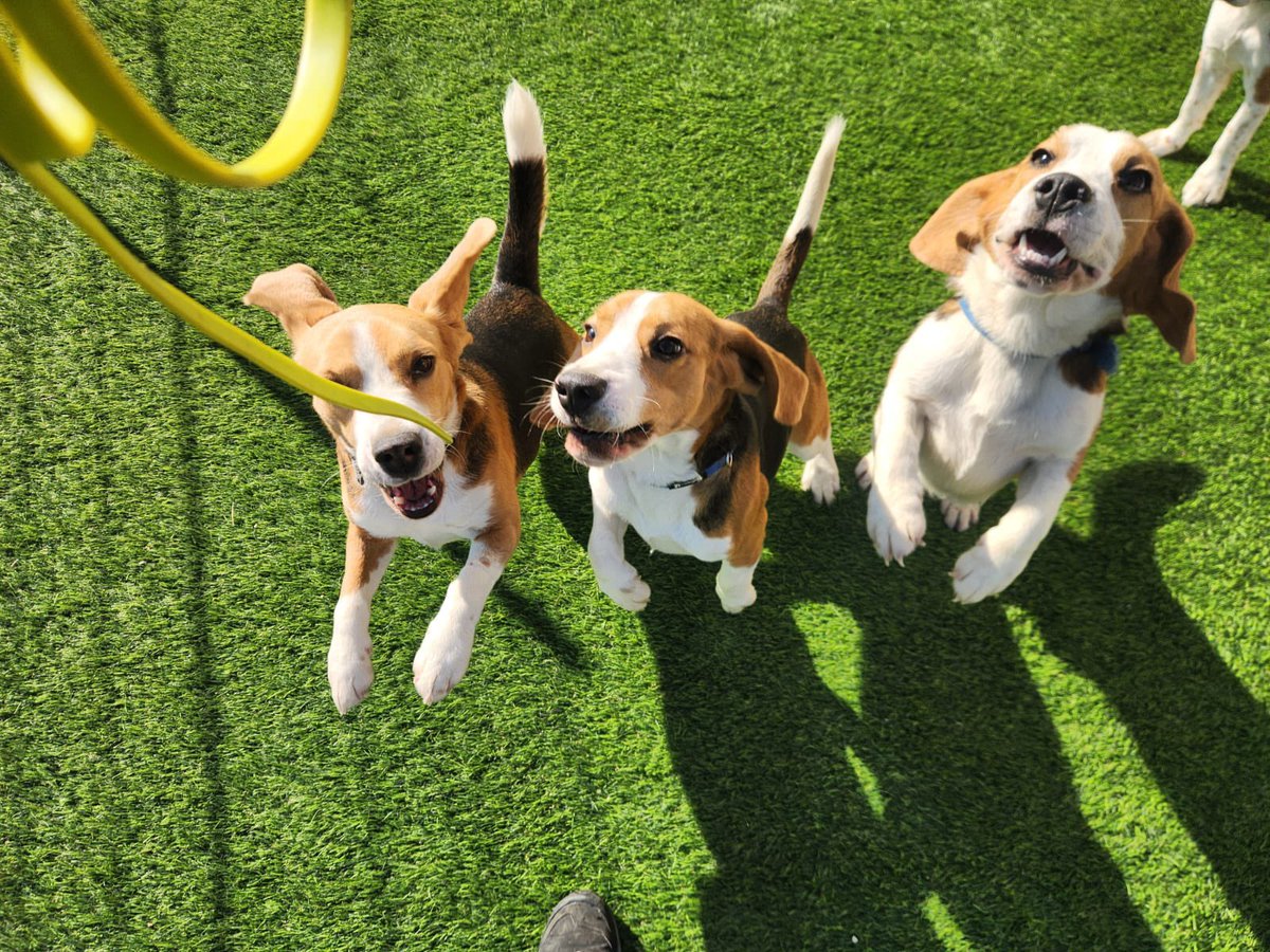 Balancing work and fun 💛