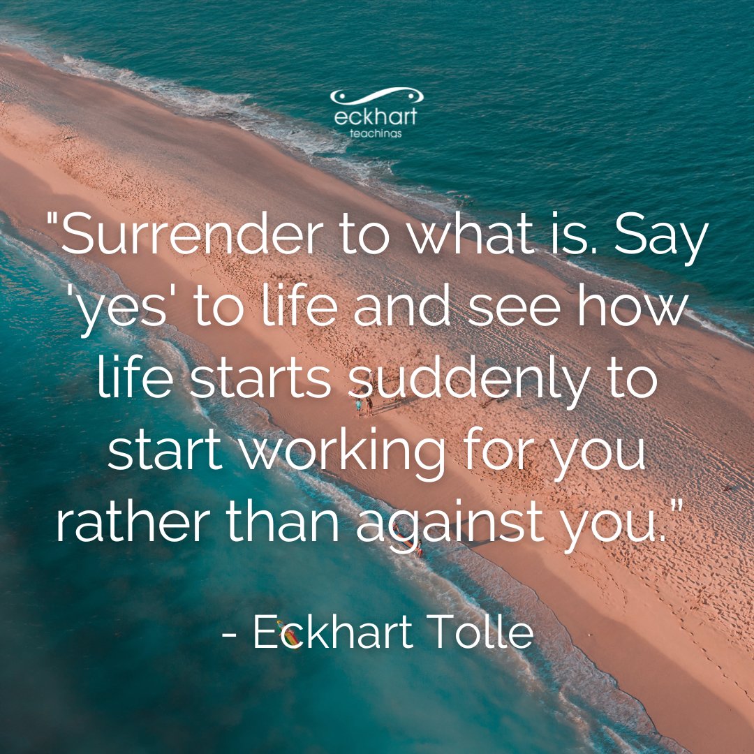 Eckhart Tolle tweet media