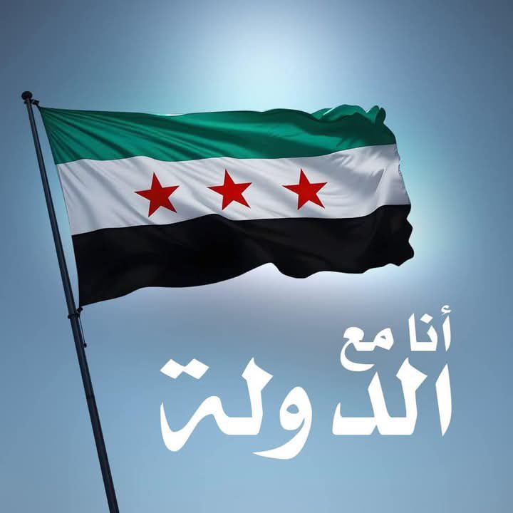 #SupportTheSyrianGovernment