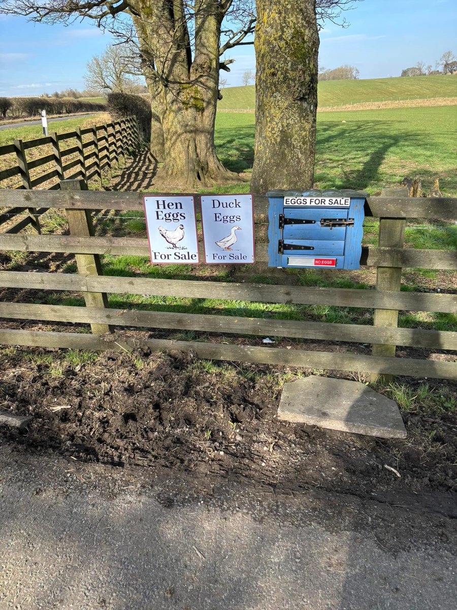 ThrimbyFarms's tweet image. Not even a honesty box is safe these days. Not only have the eggs been stolen, the 50p we leave in the jar to help with change has also been stolen. 

What a fucking world we live in. 

James is 5, steeling eggs and 50p from a 5 year old has got to be the lowest of lows.

Scum…