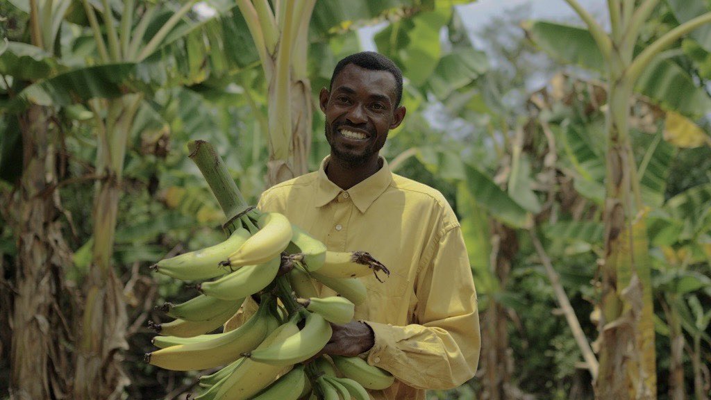 UNDP Ghana (@undpghana) on Twitter photo Forging partnership with the private sector to support youth-led innovation is key.
ย
With support from partners like <a href="/MastercardFdn/">Mastercard Foundation</a>, <a href="/MTNFoundationNG/">MTN Foundation</a>, <a href="/CocaCola/">Coca-Cola</a> & others, many young people are transforming challenges into thriving businesses, creating jobs, and driving Forging partnership with the private sector to support youth-led innovation is key.
ย
With support from partners like <a href="/MastercardFdn/">Mastercard Foundation</a>, <a href="/MTNFoundationNG/">MTN Foundation</a>, <a href="/CocaCola/">Coca-Cola</a> & others, many young people are transforming challenges into thriving businesses, creating jobs, and driving