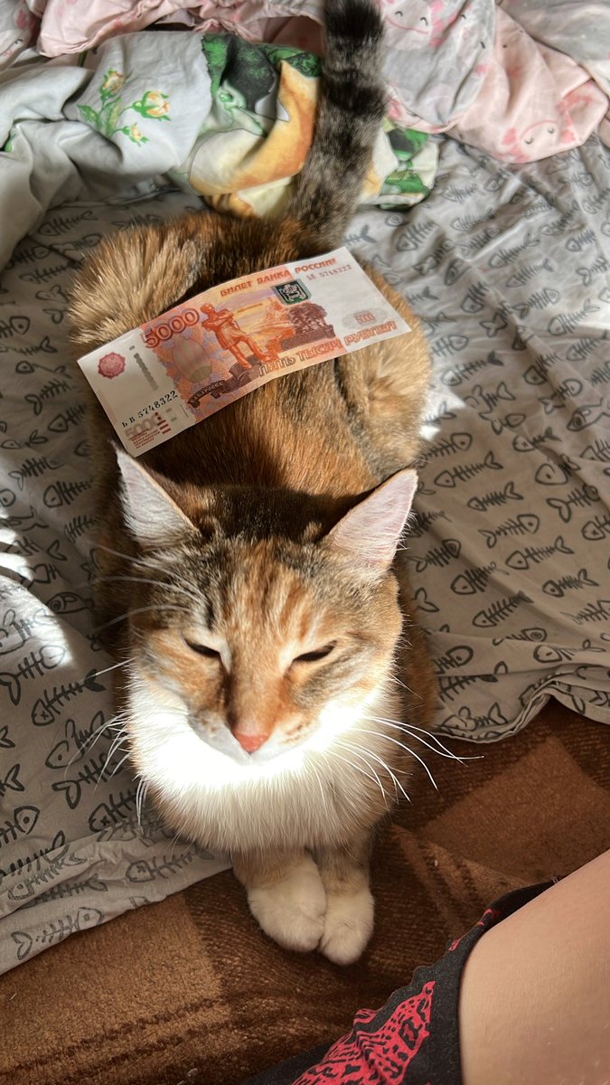 Это денежная Цоцо. Денежная Цоцо публикуется впервые, будьте деликатны.