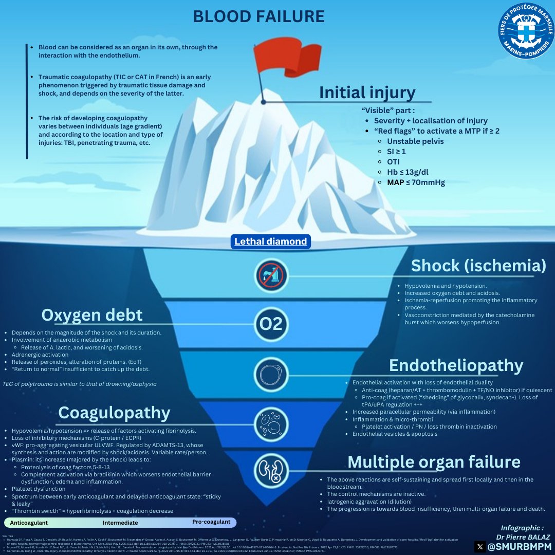 Blood failure : the tip of the iceberg
Ever heard about traumatic endotheliopathy ?
And what lies beneath the concept of "blood failure" ?(Bjerkvig et al, 2016)

Here's a synthetic infographic which (tries to) summarize key points about it.

#FOAMed
#BloodFailure