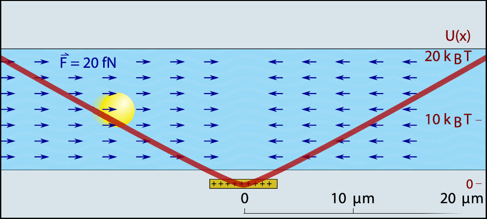 ACS Nano (@acsnano) on Twitter photo .<a href="/YazganTuna/">Yazgan Tuna</a> et al. from <a href="/MPI_Light/">Max Planck Institute for the Science of Light</a> introduce an all-passive electrostatic force clamping technique using metallic nanoribbons embedded in glass, offering precise regulation of charged nanoparticle motion under constant force conditions.
Read it here 🔗 go.acs.org/cmU .<a href="/YazganTuna/">Yazgan Tuna</a> et al. from <a href="/MPI_Light/">Max Planck Institute for the Science of Light</a> introduce an all-passive electrostatic force clamping technique using metallic nanoribbons embedded in glass, offering precise regulation of charged nanoparticle motion under constant force conditions.
Read it here 🔗 go.acs.org/cmU