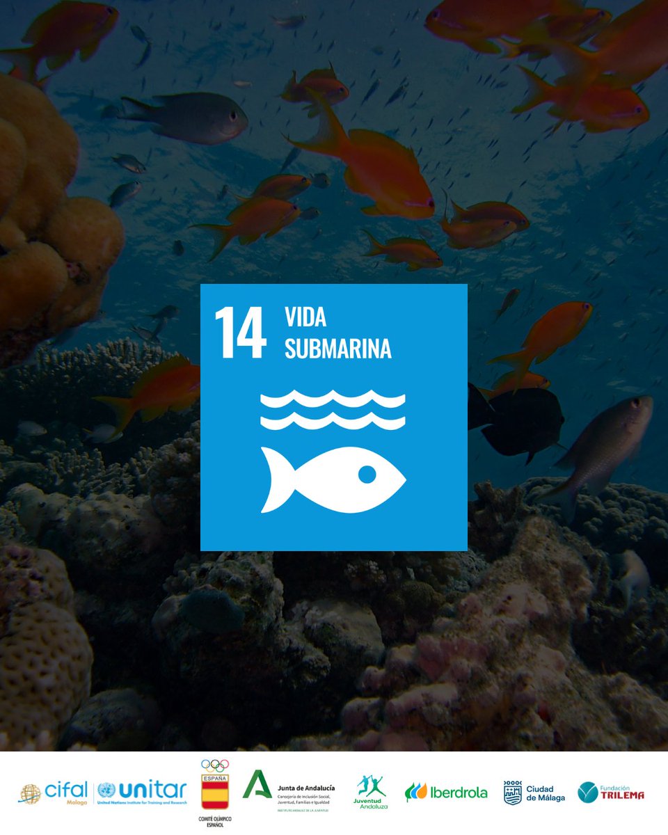 Generación Acción (@generaccionods) on Twitter photo Esta semana se celebra el Día Mundial del Agua 🌊 ¿Qué puedes hacer en el aula para mejorar la vida submarina? Únete a #GeneracionAcción y descúbrelo 📲 Generacionaccion.com
🤝 <a href="/CifalMalaga/">CIFALMalaga</a> <a href="/COE_es/">Comité Olímpico Español</a> <a href="/iberdrola/">Iberdrola</a> <a href="/IAJuventud/">Instituto Andaluz de la Juventud</a> <a href="/malaga/">Ciudad de Málaga</a> <a href="/trilemaedu/">Fundación Trilema</a> Esta semana se celebra el Día Mundial del Agua 🌊 ¿Qué puedes hacer en el aula para mejorar la vida submarina? Únete a #GeneracionAcción y descúbrelo 📲 Generacionaccion.com
🤝 <a href="/CifalMalaga/">CIFALMalaga</a> <a href="/COE_es/">Comité Olímpico Español</a> <a href="/iberdrola/">Iberdrola</a> <a href="/IAJuventud/">Instituto Andaluz de la Juventud</a> <a href="/malaga/">Ciudad de Málaga</a> <a href="/trilemaedu/">Fundación Trilema</a>