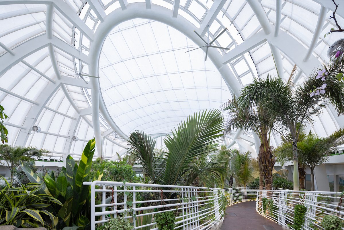 ArchDaily's tweet image. The Botanic #Pavilion draws inspiration from the seed, symbolizing growth and potential. Rooted in the earth, its #design integrates exhibition and environment, creating a dynamic space where form, nature, and storytelling merge. ow.ly/Yvc250VeBur