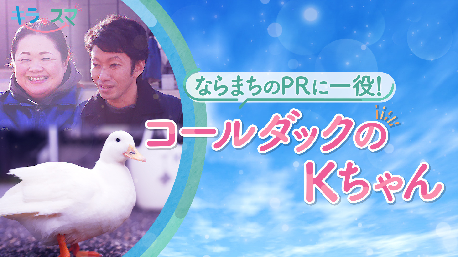 poma🪿ピヨコ (@plum_0313) / X poma🪿ピヨコ (@plum_0313) / X