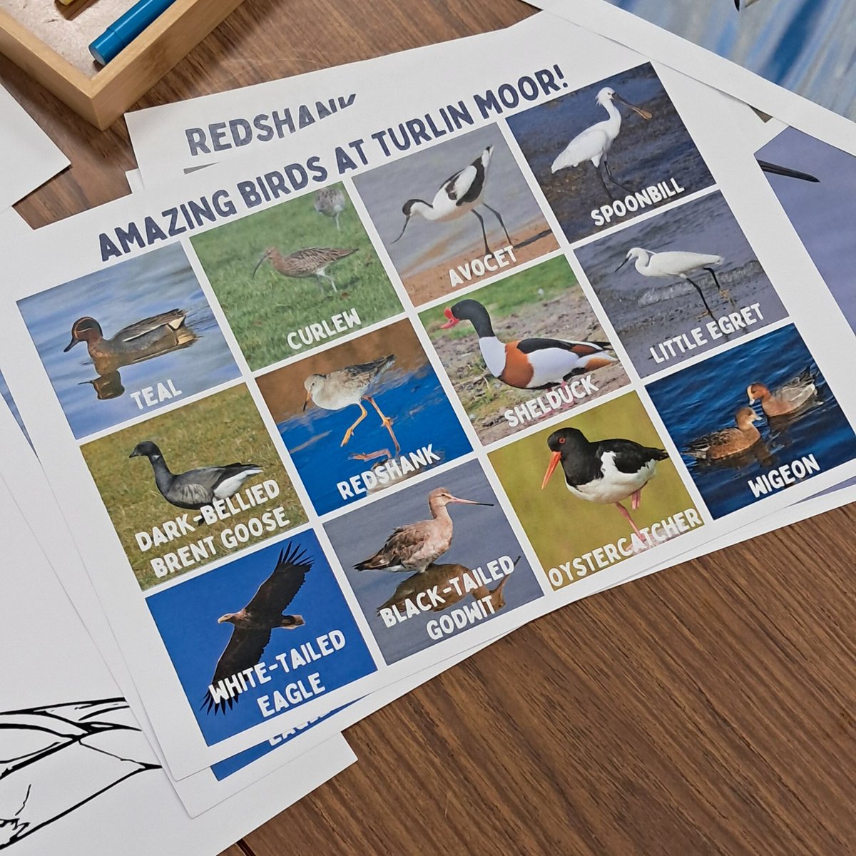 Last week we joined <a href="/Poole_CT/">Poole Communities Trust</a>  for their Youth Session at Turlin Moor. The children are helping to create a mural, so we taught them about the epic migrations their local birds undertake, and how they can help them thrive. Then we got creative and made some colourful bird art 👨‍🎨