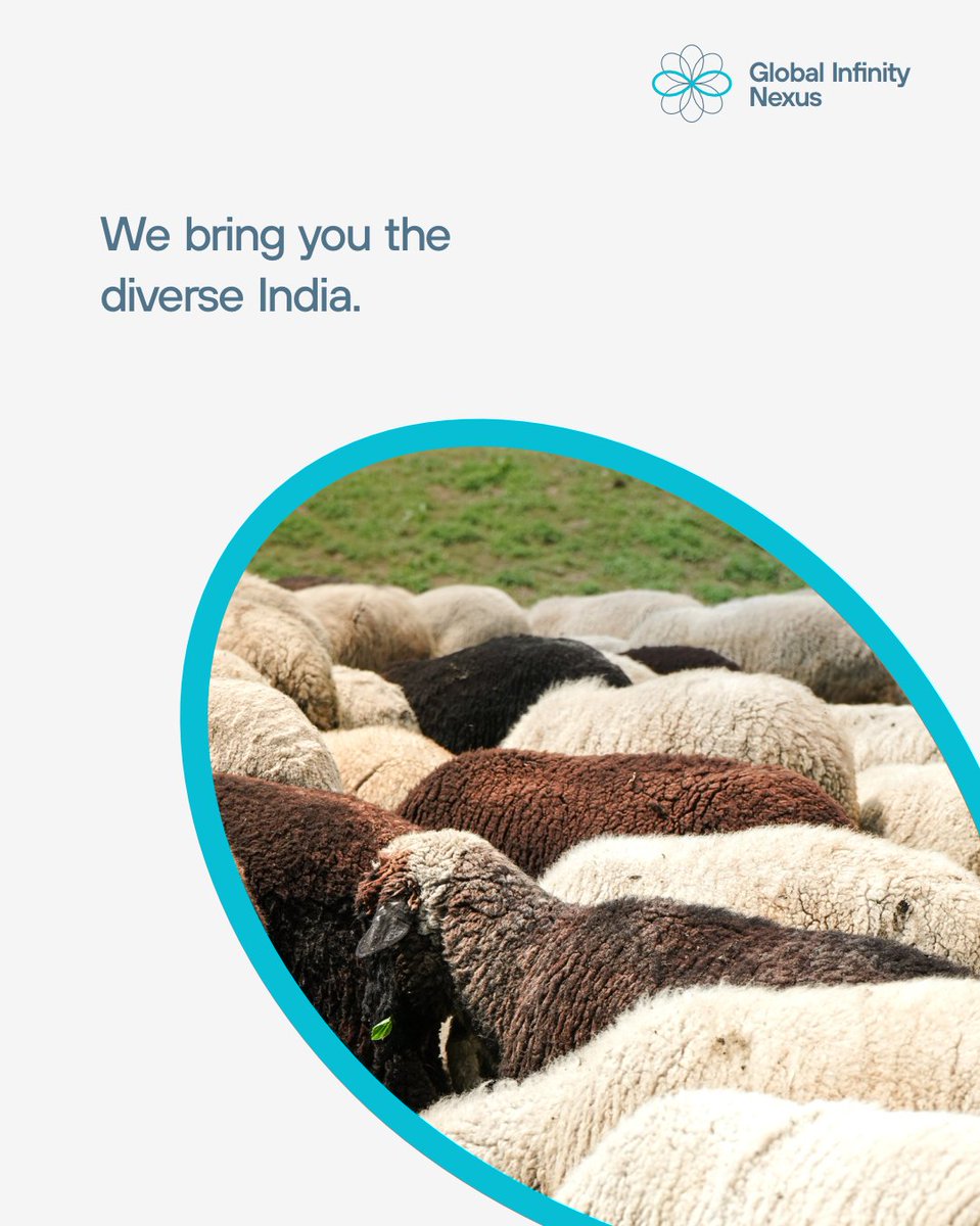 ginfinitynexus's tweet image. Importing excellence, exporting love. 🌍✈️ Proud to connect the world with the diversity of India. #globalinfinitynexus #importexportexcellence