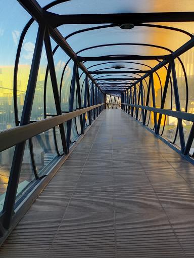 danillotrix's tweet image. A gratidão é uma grande aliada do sucesso!