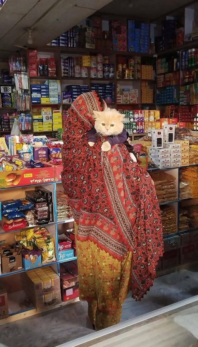 A lady with her cat in Rawalpindi 💗😭