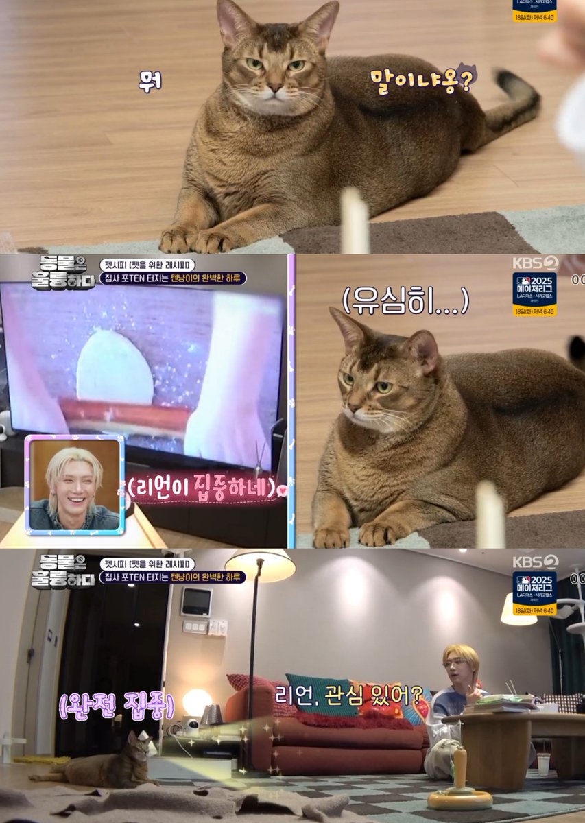 ลีออนติดป๊ามากกกกกถึงมากกกกกที่สุด แถมเป็นเด็กติดจอด้วย 

#TENsOrdinaryDayWith3L
#동물은훌륭하다