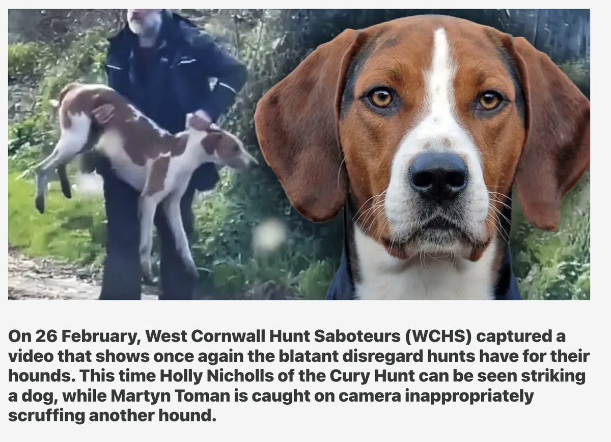 Disgusting people. Why do they get away with it time and time again?!