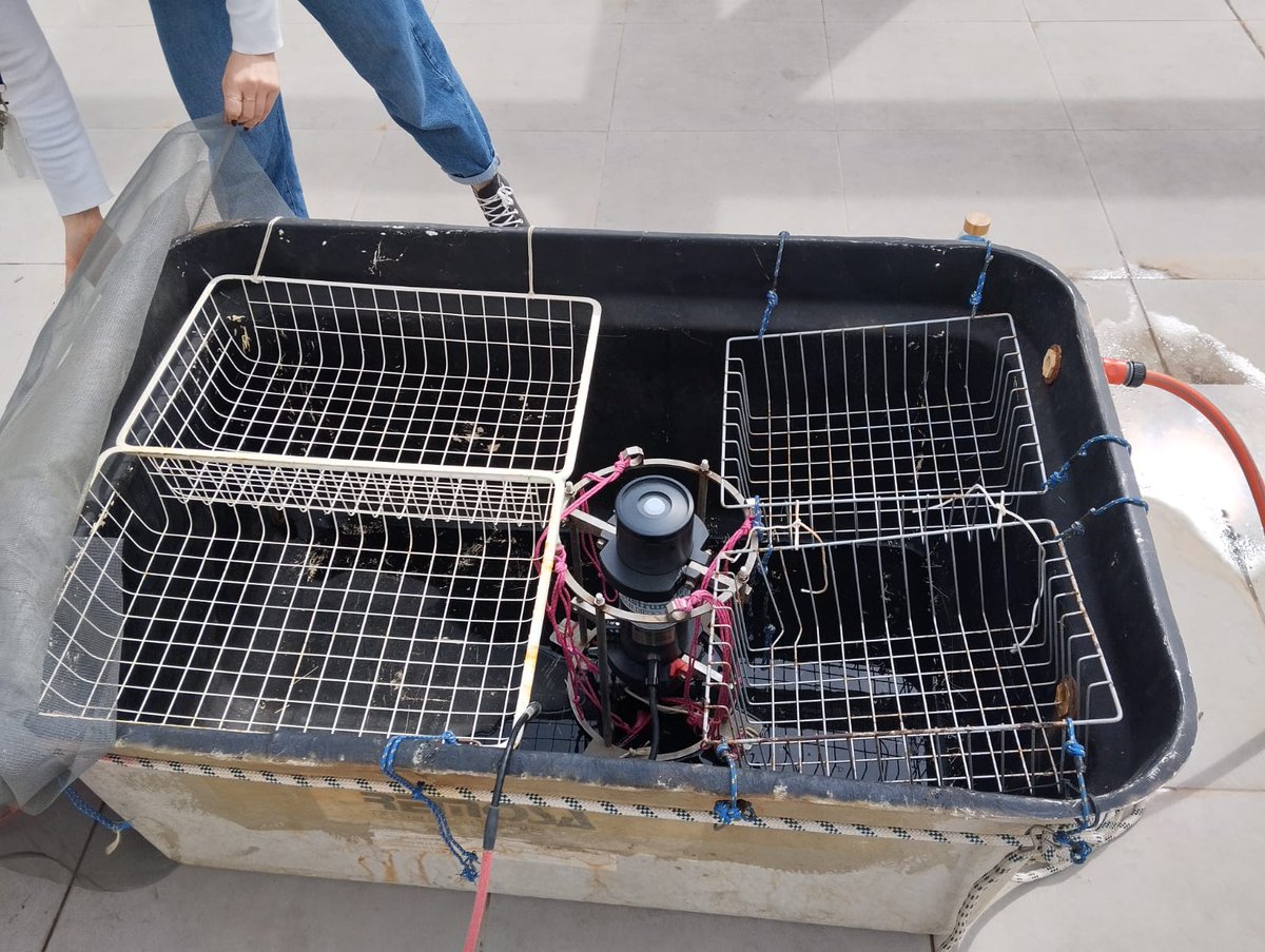 simolab_'s tweet image. Leaving everything ready for the new upcoming @simolab_ experiment: today, preparation of incubation tanks for measuring the degradation and production rates of sulfur volatile organic compounds (#VOCs) in seawater from Blanes Bay.
#GOOSEproject