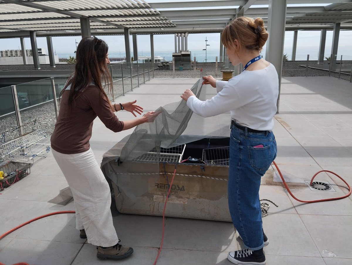 simolab_'s tweet image. Leaving everything ready for the new upcoming @simolab_ experiment: today, preparation of incubation tanks for measuring the degradation and production rates of sulfur volatile organic compounds (#VOCs) in seawater from Blanes Bay.
#GOOSEproject