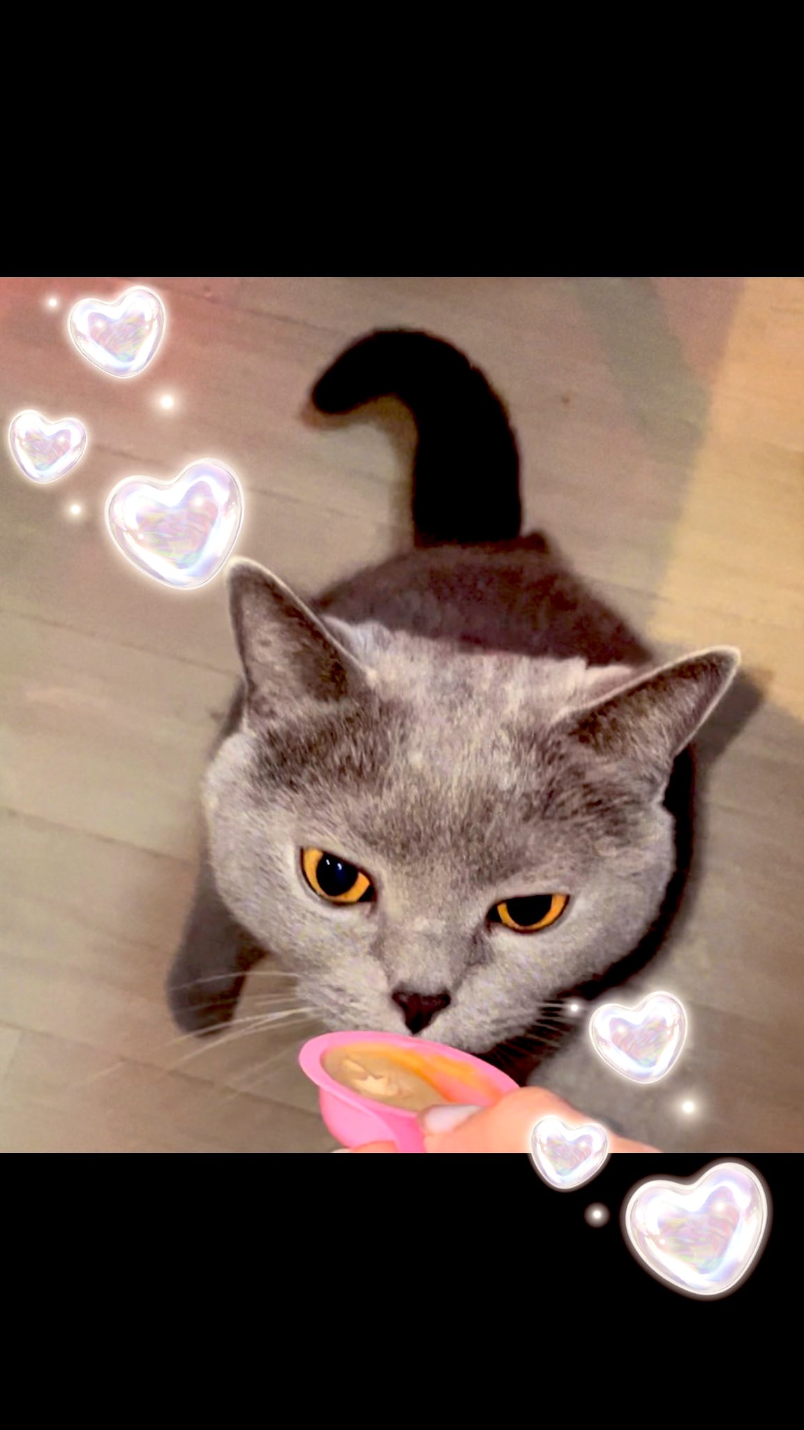 みお୨୧ ♡ on X: 