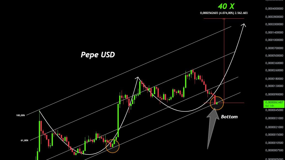 chiluz101's tweet photo. Did you know $PEPE is at its bottom? 👀

I'm expecting a massive 40X move soon! 

$PEPE #PEPE #Memecoin https://t.co/A6yDHdCuam