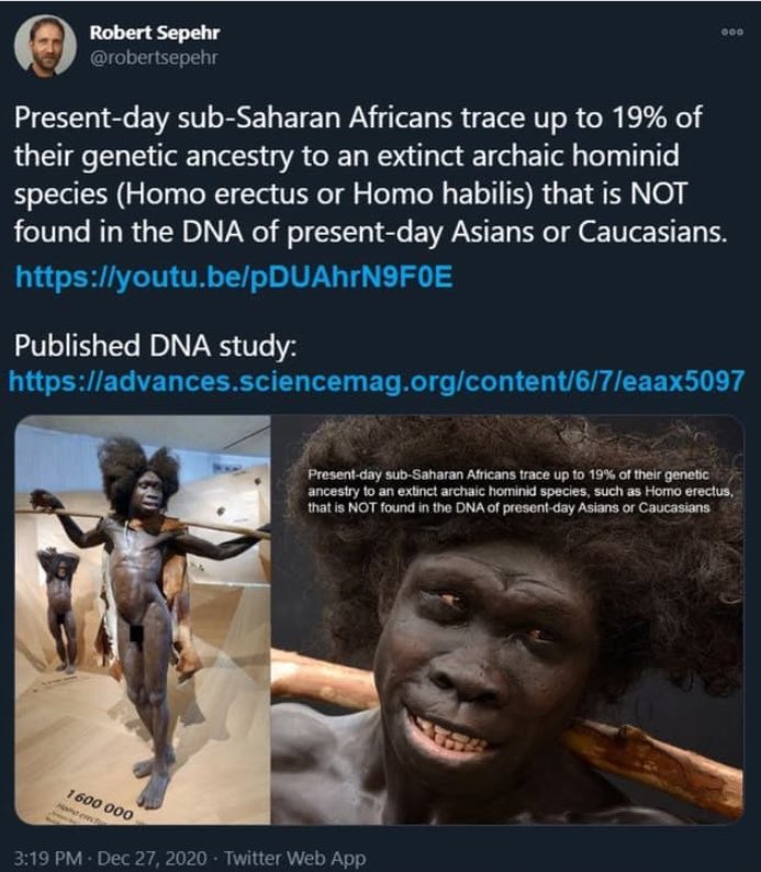 CountTennyson's tweet photo. @HarareNdini @ginos_w @Rolandschoeman @DrSonkeAfrica Really? How is it that we've never seen a black win a medal for swimming?  Humans can swim. Never seen an ape swim. https://t.co/4zAIR7MSDI