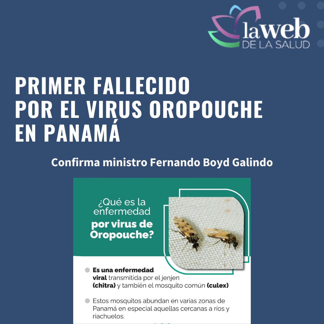 La web de la salud (@lawebdelasalud1) on Twitter photo Primer fallecido por el virus Oropouche en Panamá
<a href="/MINSAPma/">Ministerio de Salud de Panamá</a> <a href="/JeanCarrPaul/">Jean-Paul Carrera</a> <a href="/SandraLpezVergs/">Sandra López Vergès</a> <a href="/InstitutoGorgas/">Instituto Conmemorativo Gorgas</a>
lawebdelasalud.com/primer-falleci… Primer fallecido por el virus Oropouche en Panamá
<a href="/MINSAPma/">Ministerio de Salud de Panamá</a> <a href="/JeanCarrPaul/">Jean-Paul Carrera</a> <a href="/SandraLpezVergs/">Sandra López Vergès</a> <a href="/InstitutoGorgas/">Instituto Conmemorativo Gorgas</a>
lawebdelasalud.com/primer-falleci…