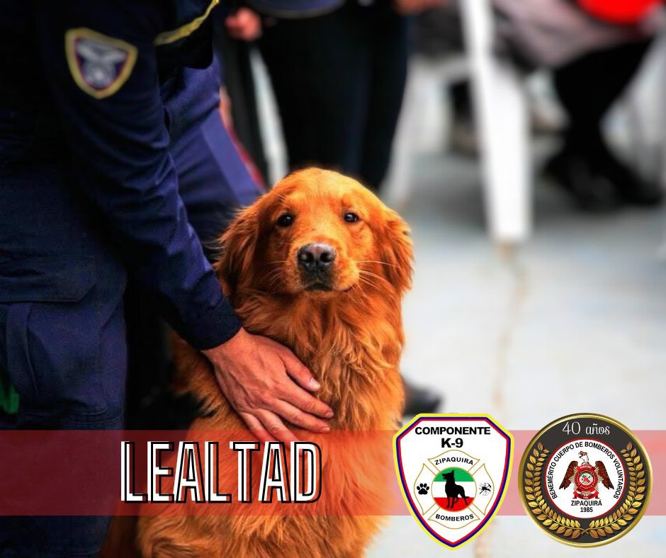 BZipaquira's tweet photo. ☀️ Lunes de motivación.

Cuando hay lealtad por lo que hacemos, cada empeño cuenta,  cada objetivo nos impulsa y cada meta alcanzada nos llena de orgullo.

🔥 La lealtad es la fuerza que nos impulsa a dar siempre lo mejor.

💚🤍❤️ Bomberos Zipaquirá, cuidamos lo que usted Ama !! https://t.co/BwDtXEtXJ6