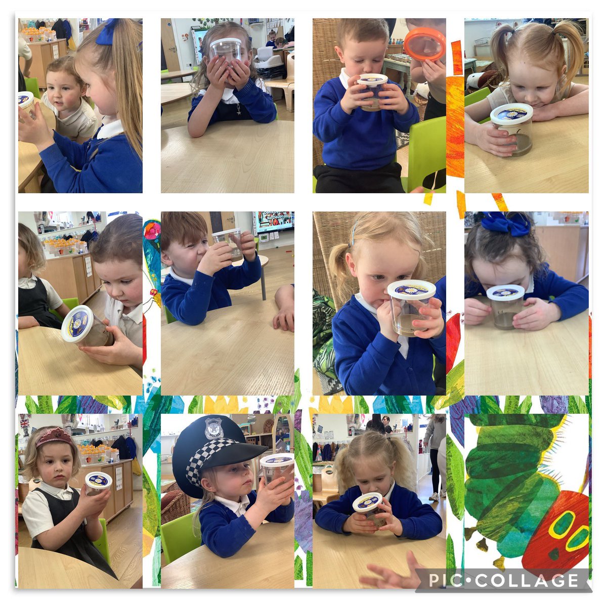 Riverside Acorns (@rps_acorns) on Twitter photo This afternoon, Acorns have been checking on our baby caterpillars. Over the weekend, they have already grown! There has been lots of wonderful discussion about what will happen to the caterpillars in their next stage of the life cycle. 🐛 <a href="/Riverside_Pri/">Riverside Primary</a> This afternoon, Acorns have been checking on our baby caterpillars. Over the weekend, they have already grown! There has been lots of wonderful discussion about what will happen to the caterpillars in their next stage of the life cycle. 🐛 <a href="/Riverside_Pri/">Riverside Primary</a>