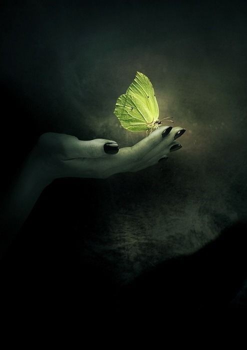 Netty_azuos's tweet image. ...Even if the pain takes a while to go away
it gives us hope... 

Nᥱttყ𓍯🍀
#LaCasaDeLosFamososCol #Losses #farewells #Goodbye #again