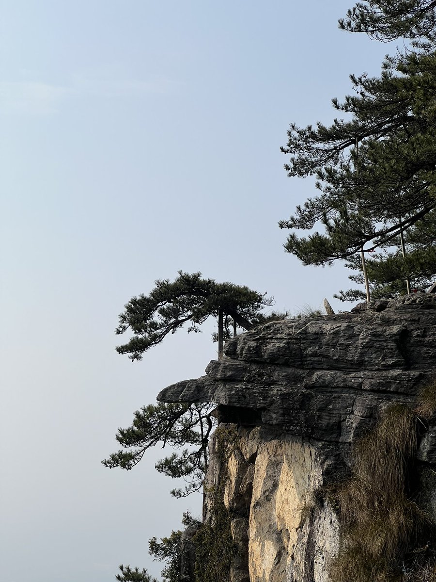 appiah's tweet image. 失而复得，在庐山。