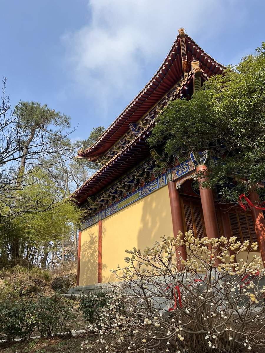 appiah's tweet image. 失而复得，在庐山。