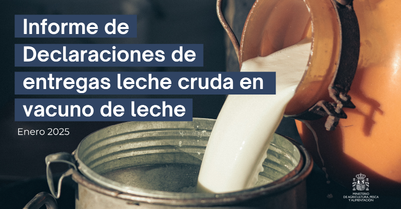 gobmapa's tweet photo. ✅ Ya está disponible el informe de declaraciones de entregas leche cruda en vacuno de leche correspondiente a enero de 2025. 

Puedes consultar toda la información en el enlace. 📲👇