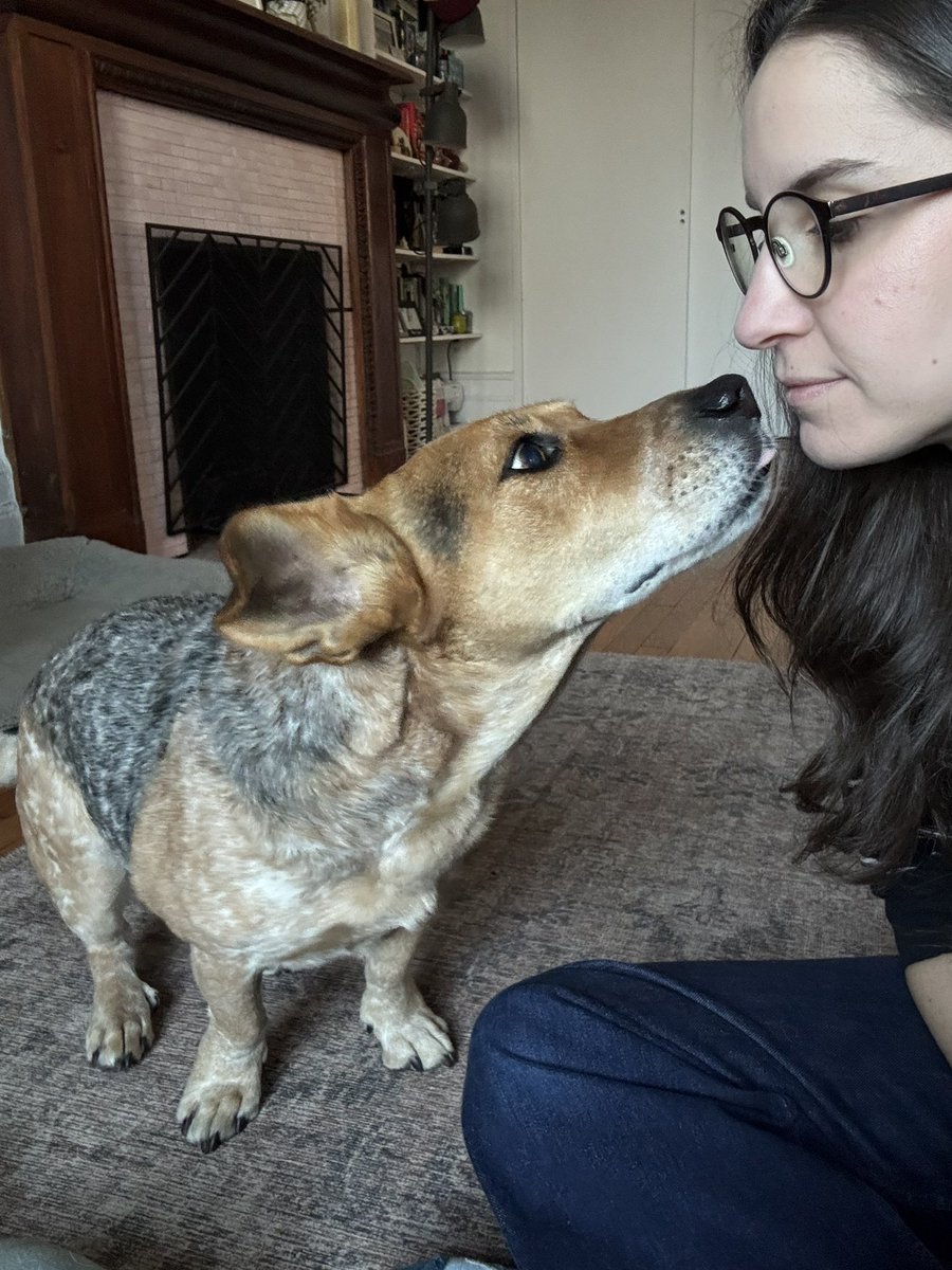 Sophie Vershbow tweet media