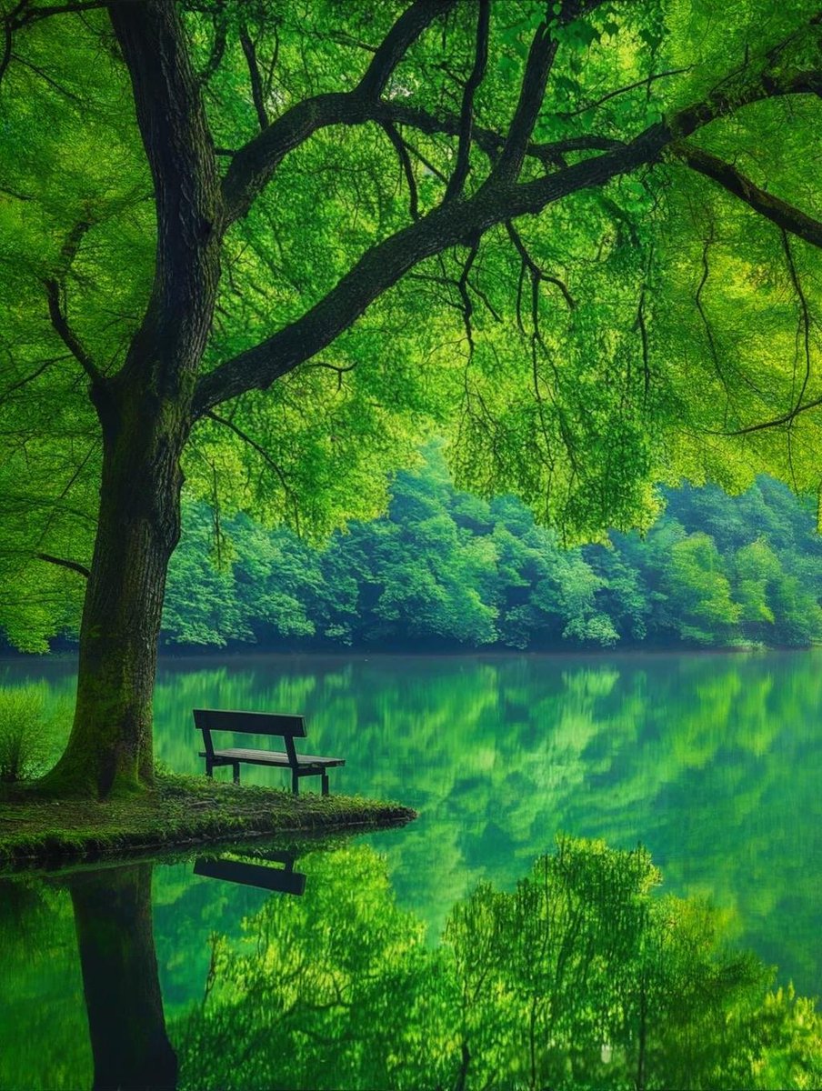 Love life (@zqyjbjfqj6ocagd) on Twitter photo 