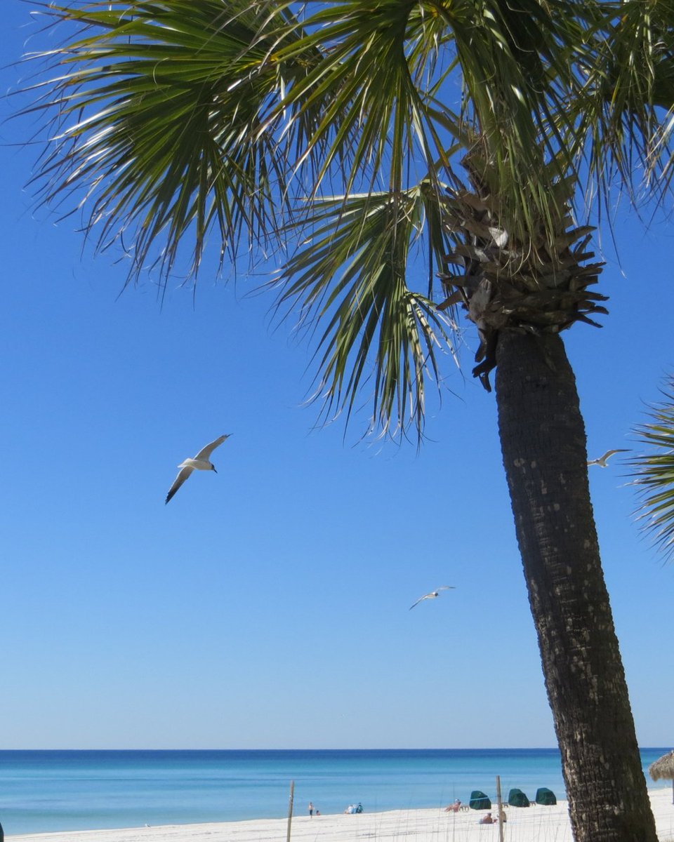 DSM Telecom tweet media