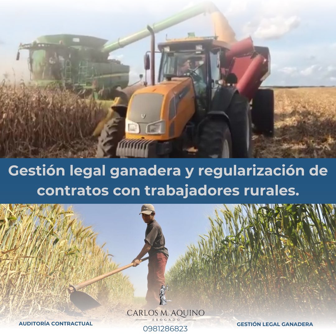 Carlos M. Aquino (@carlosmaquino4) on Twitter photo 